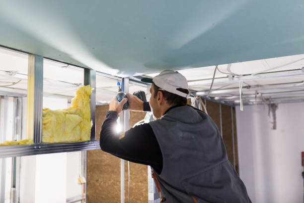 Best Insulation Replacement Services  in Fountain Valley, CA