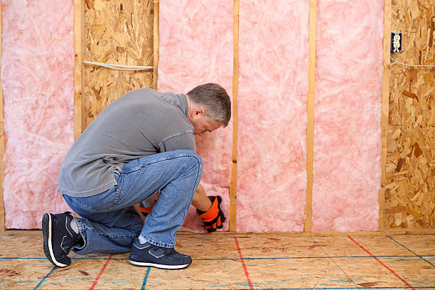 Best Garage Insulation Installation  in Fountain Valley, CA