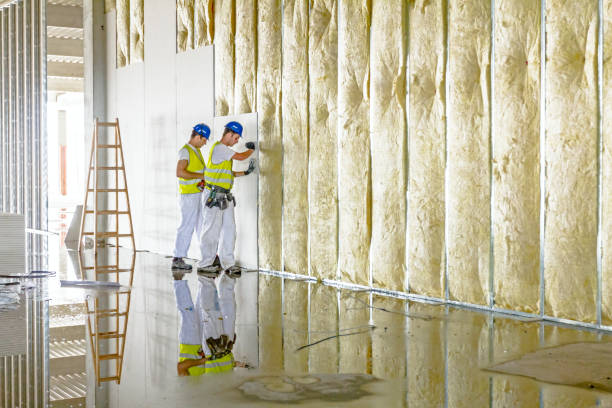 Best Home Insulation Services  in Fountain Valley, CA